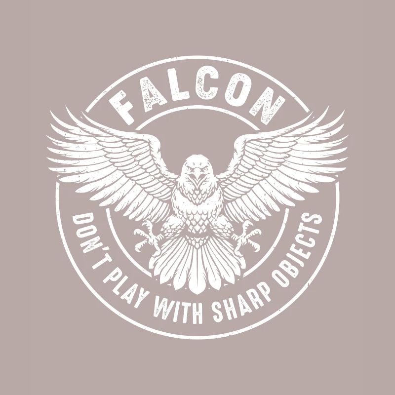 Falcon Sharp objects Falconry Ornithologist Eagle