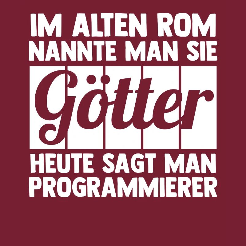 Programmieren Entwickler Coder Programmierer