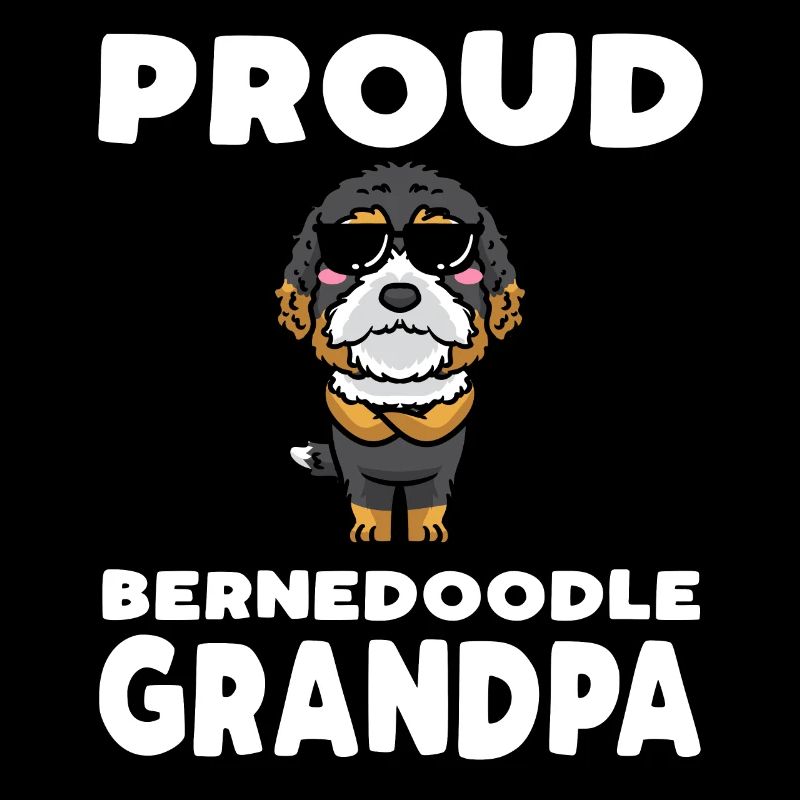 Bernedoodle Chien