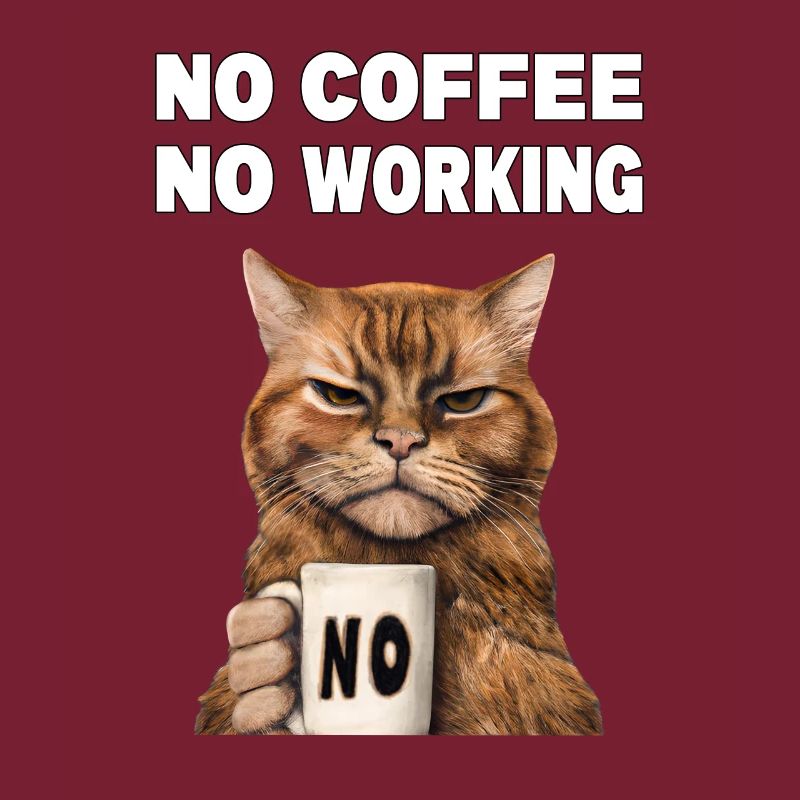 no coffee no working. Grumpy Funny Cat