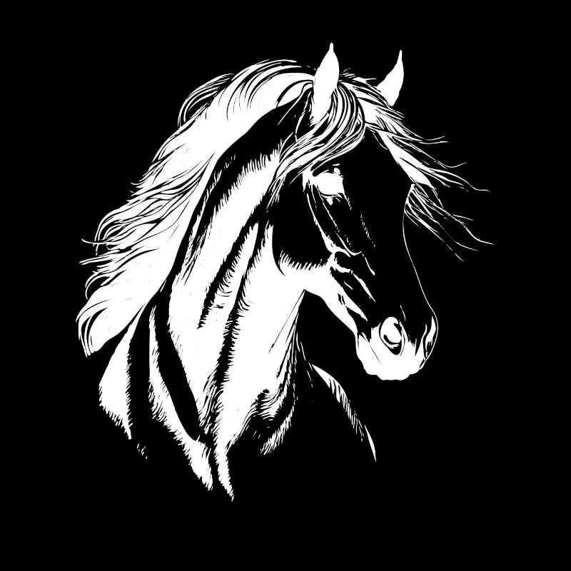 Cavalier Silhouette Cheval