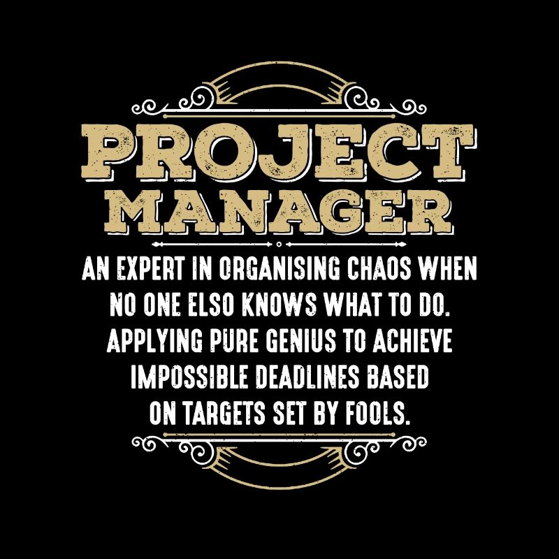 Chef de projet Un expert en gestion de projet
