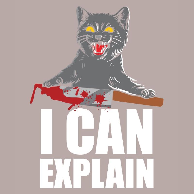 I Can Explain