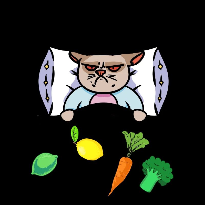 Chat Grippe Lit Vitamines Santé Malade