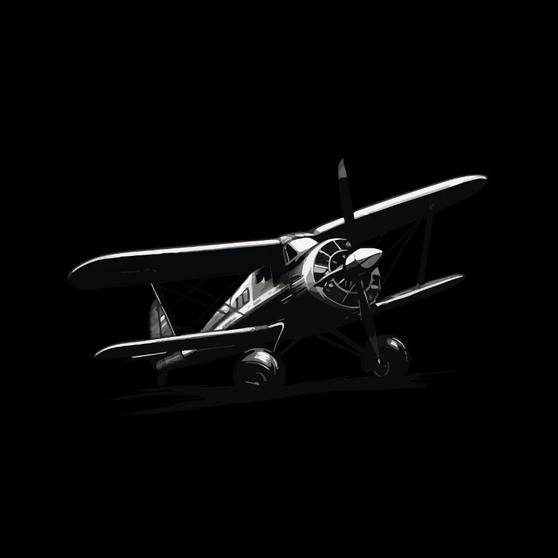 Modellflugzeug Pilot Flug Hobby Flieger