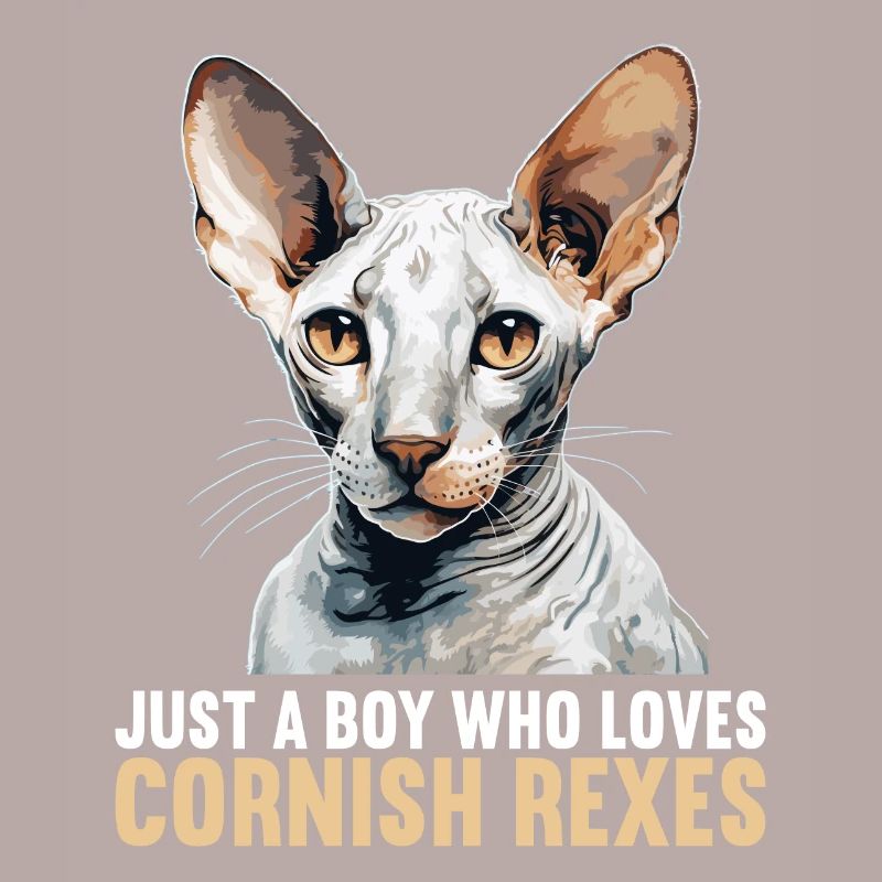 Cornish Rex Kitten Cornish Rex Cat