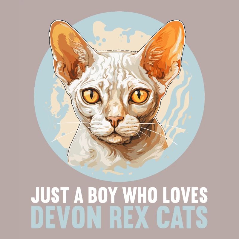Devon Rex Kätzchen Devon Rex Katze