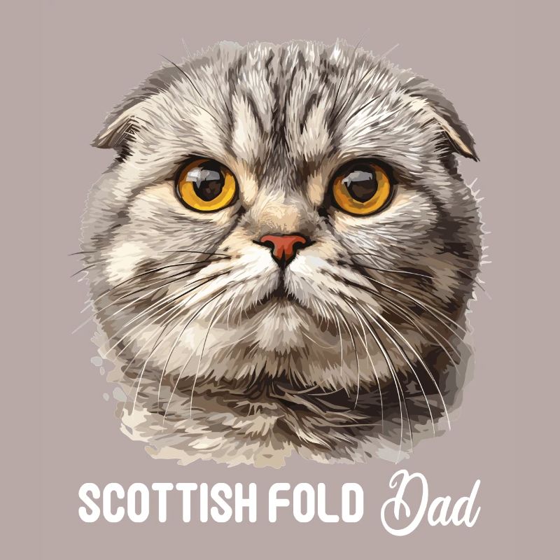 Scottish Fold Kätzchen Scottish Fold Katze
