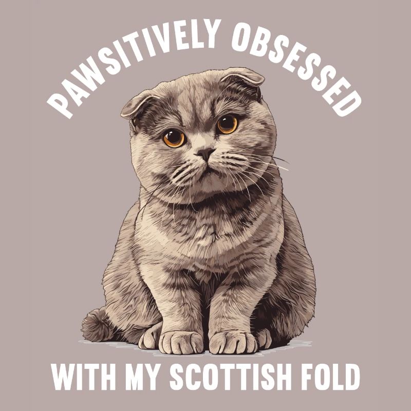 Scottish Fold Kätzchen Scottish Fold Katze