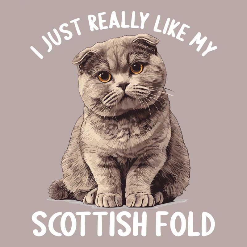 Scottish Fold Kätzchen Scottish Fold Katze