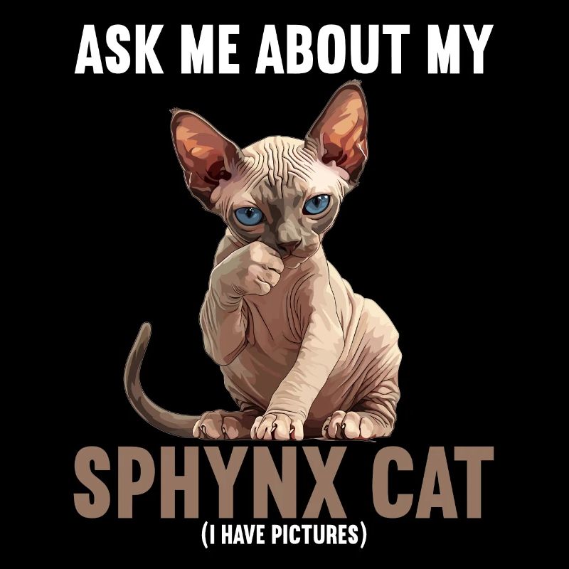 Chaton Sphynx Chat Sphynx