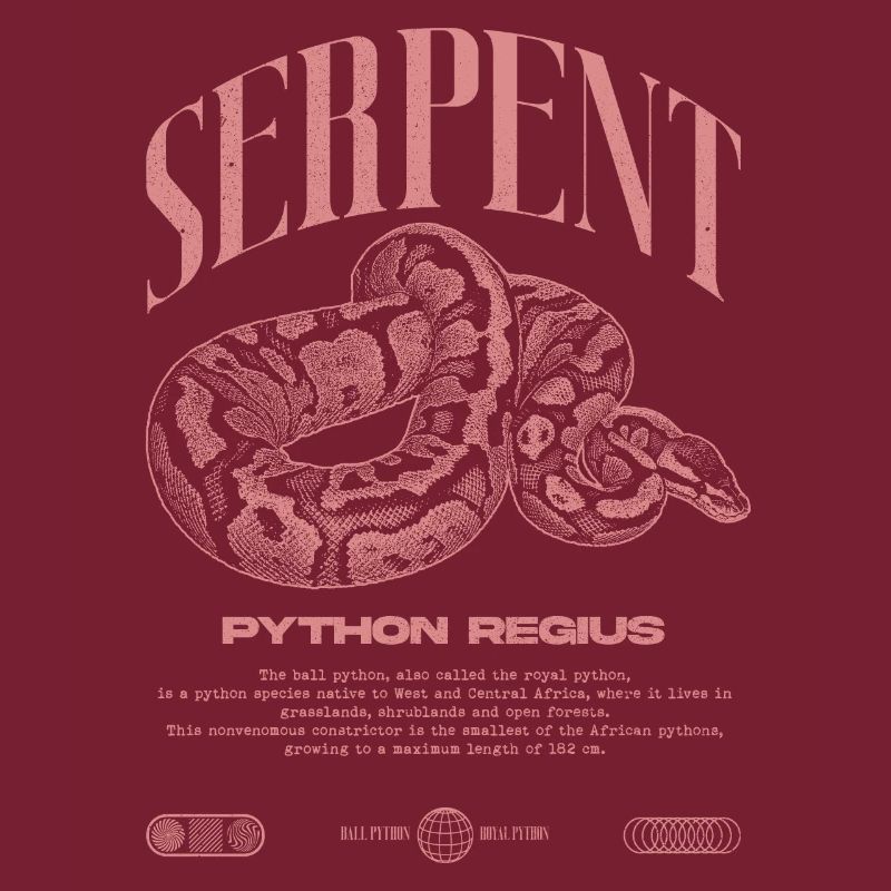 Ball Python Modern Reptile Keeper Streetwear