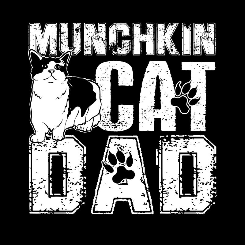 Munchkin Cat Munchkin Cat Dad
