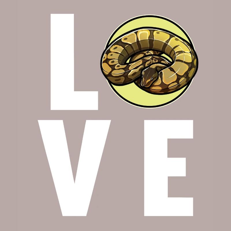 Ball Python Königspythons Königspython