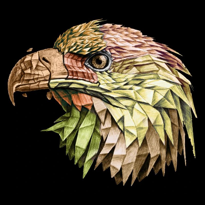 aigle aigle