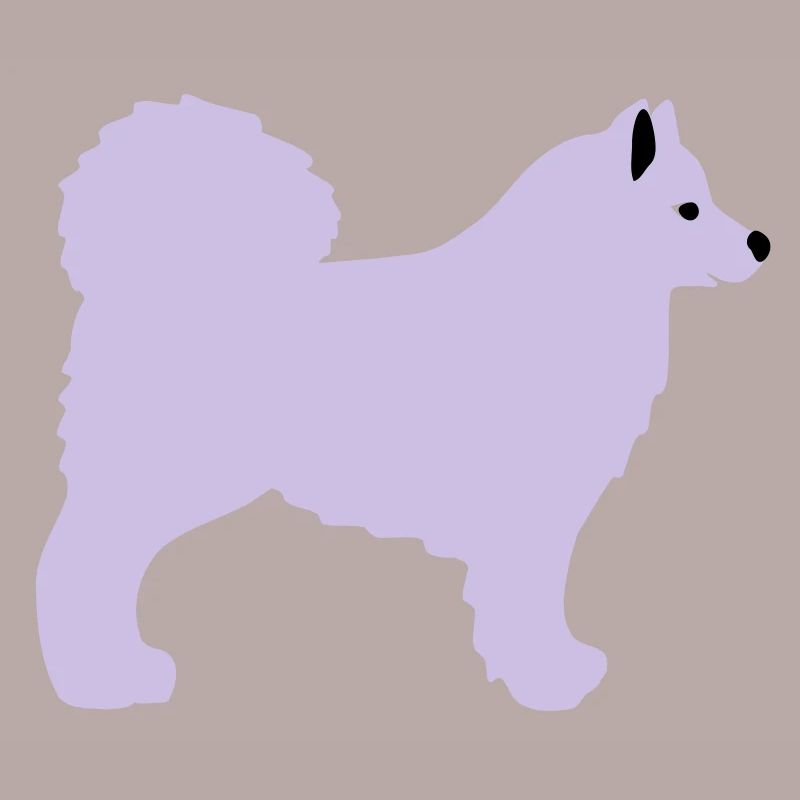 Samojede