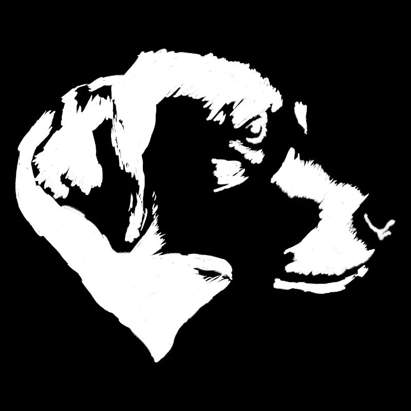 Einfarbiger Labrador Retriever im Profil