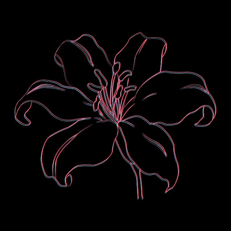 LYS BLANC