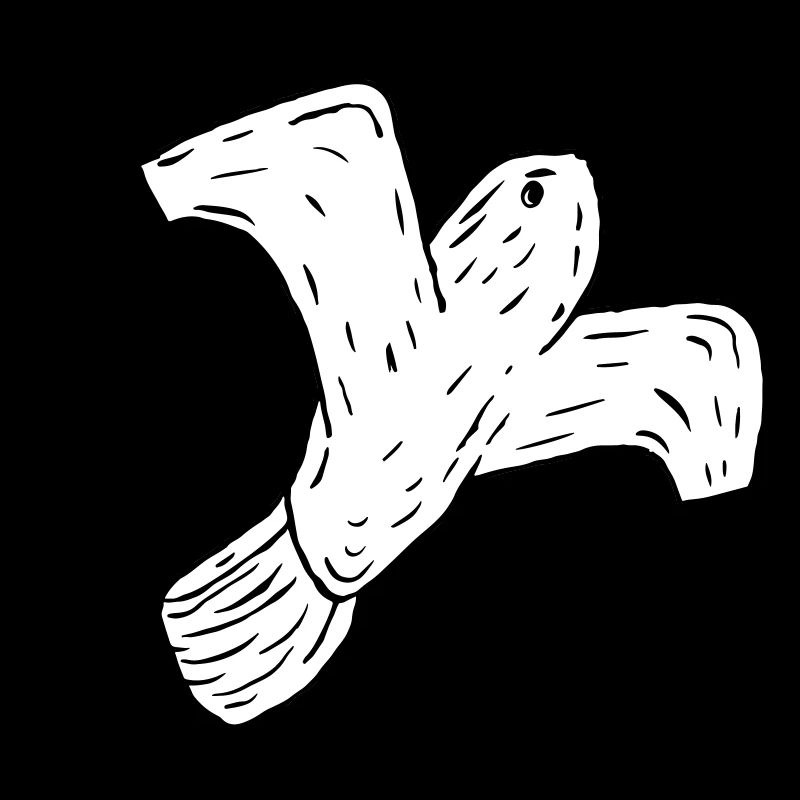 Möwe