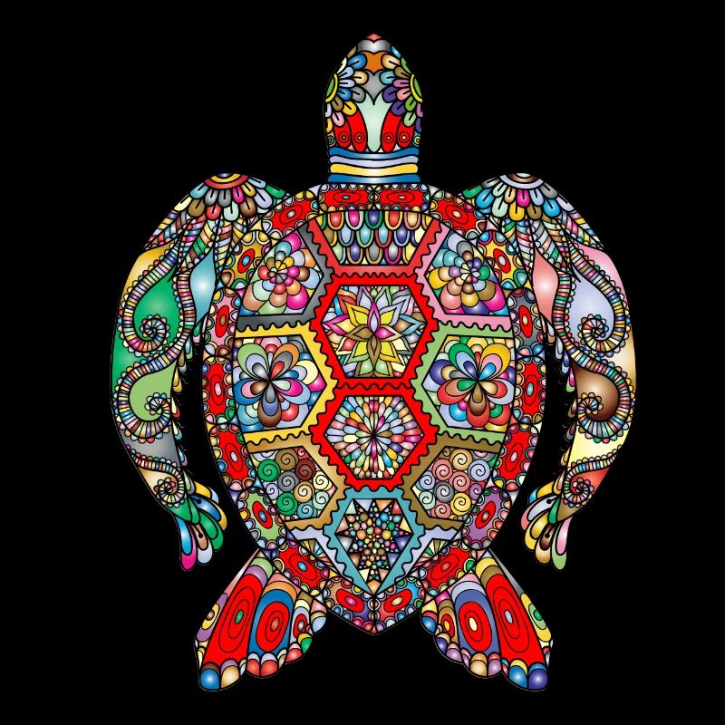 turtle