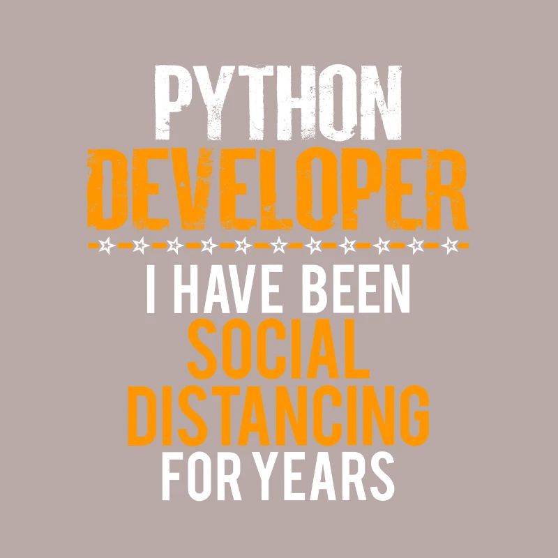 Python Developer Funny Shirt, Nice Sarcastic Tee