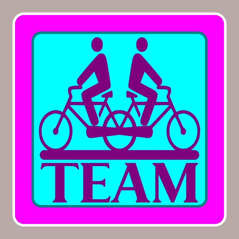 TEAM PROBLEMS - BICYCLE - STRATEGY