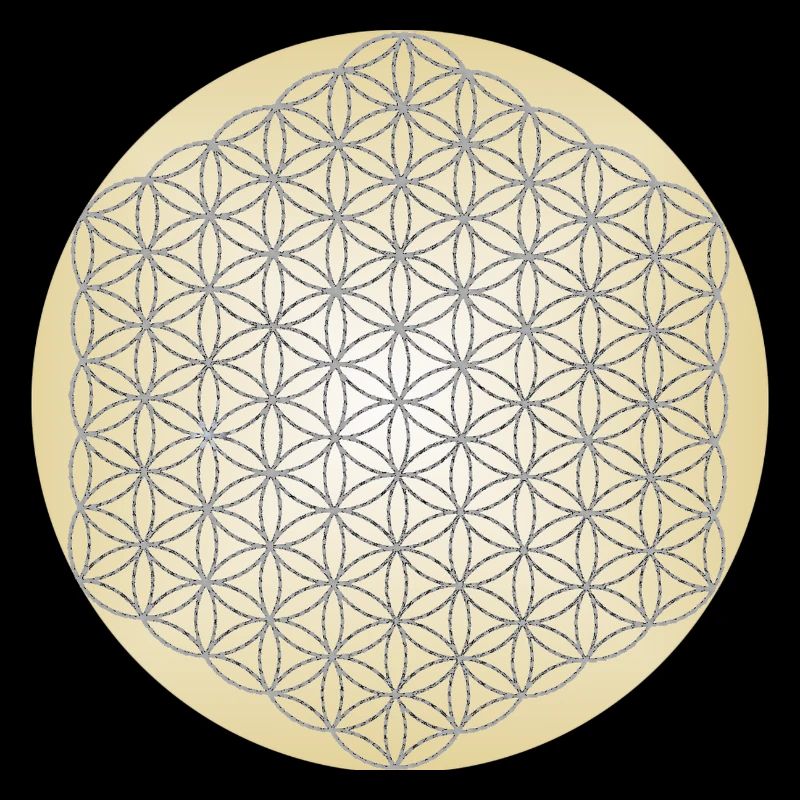 Blume des Lebens Silber - 5. Dimension - Mandala