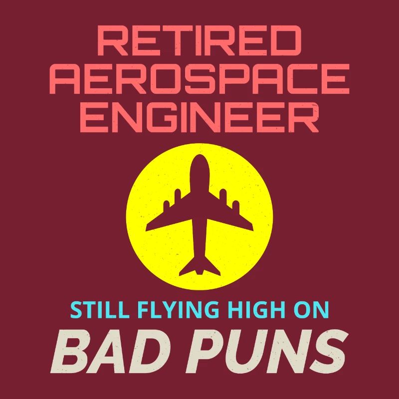 Retired Aerospace Engineer Flight Mechanics Plane