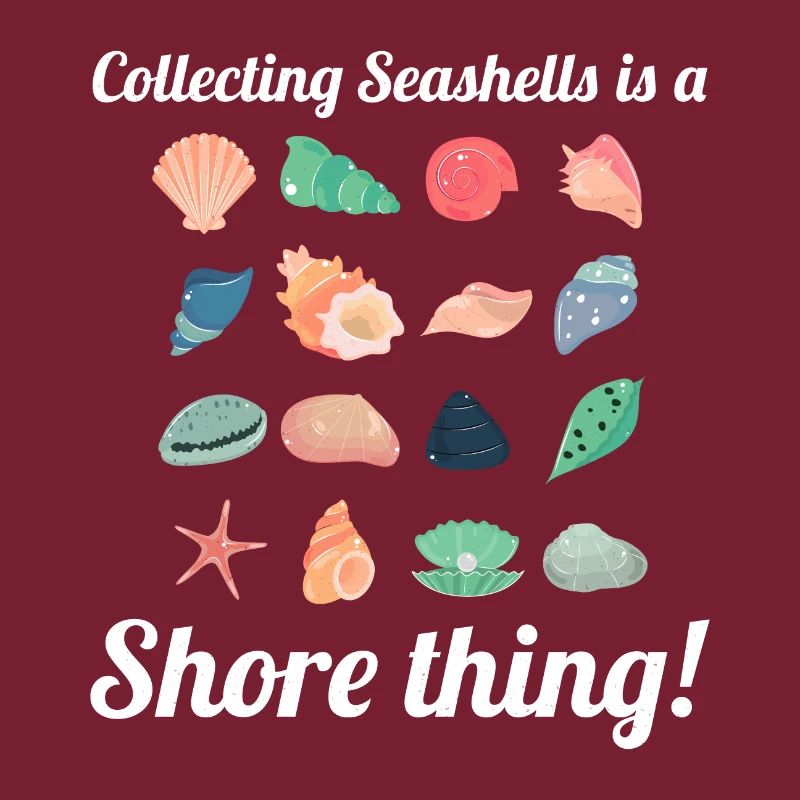 Coquillages Collector Beachcomber Sea Shell Ocean