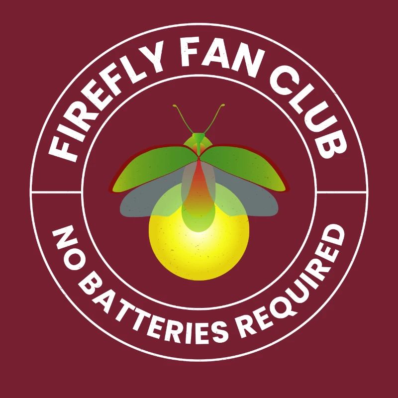 Lucioles Firefly Lightning Bug Insect Collector