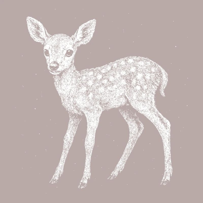Fawn