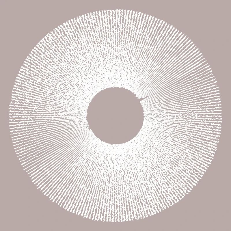 Iris Ringburst Radial Pattern