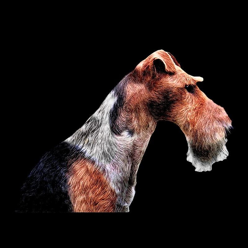 Fox terrier 2