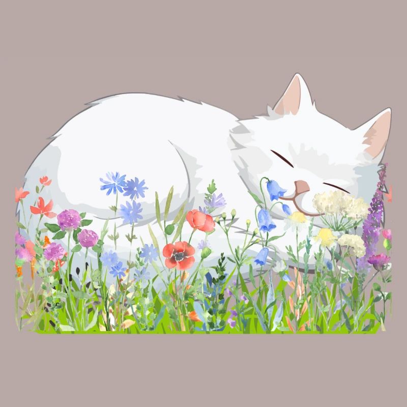 Sleeping Cat