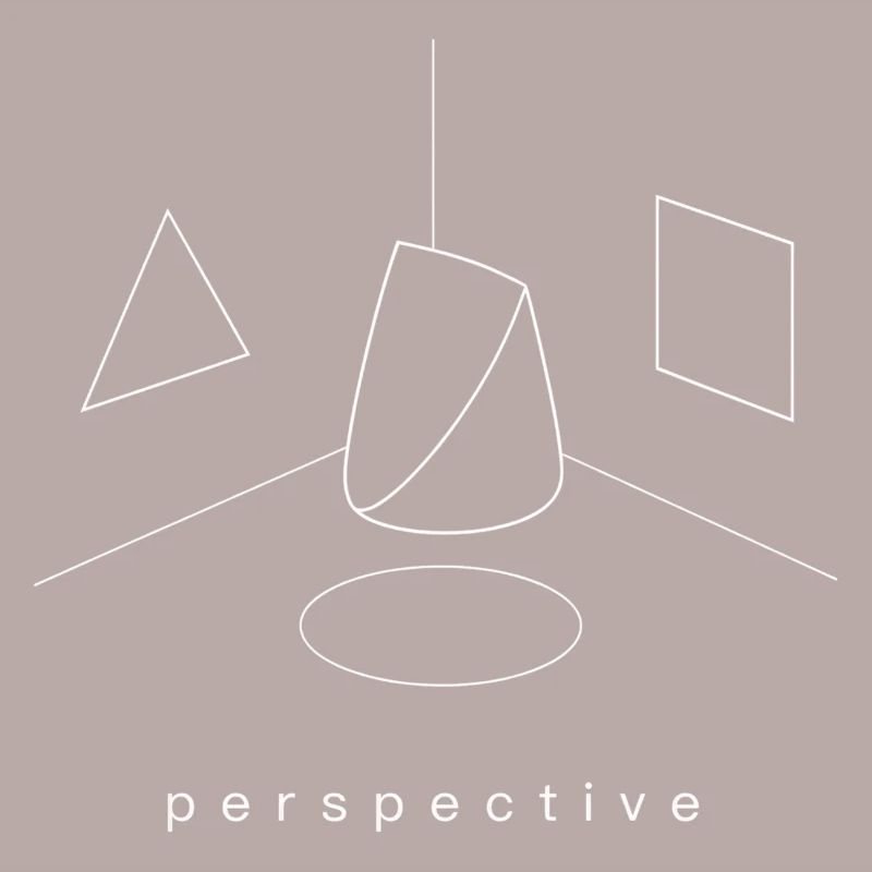 Perspective Minimalist Perception vs Reality Shirt