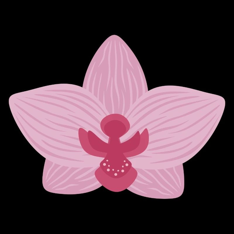 Orchidée lilas