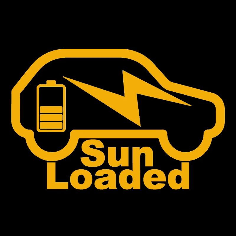 e-bil, e-mobilitet, elbil, zoe, EV-driver,