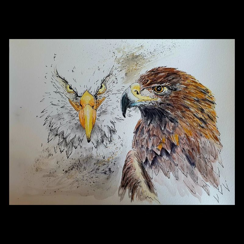 Adler