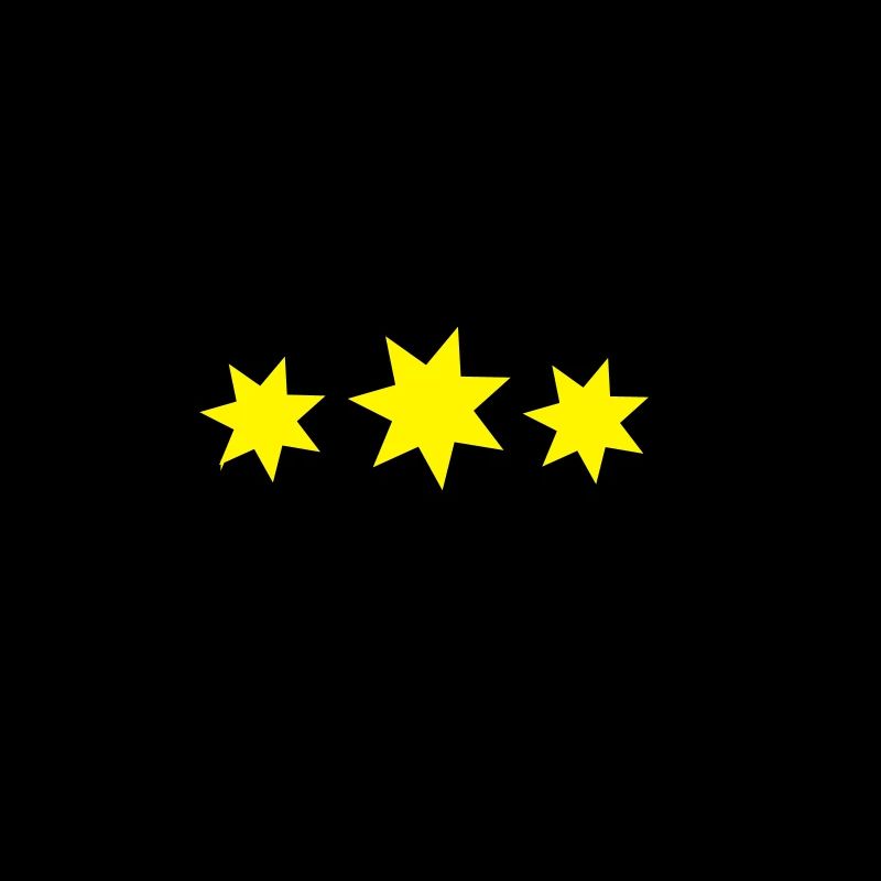 Sternekoch