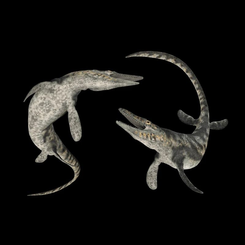 Mosasaurier Tylosaurus