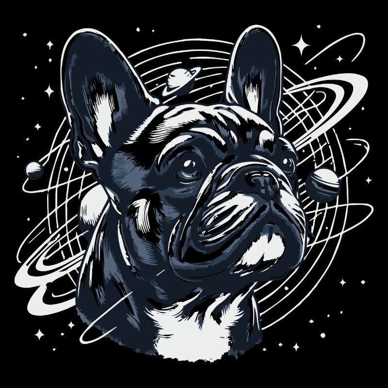 Frenchi dans l’espace 3