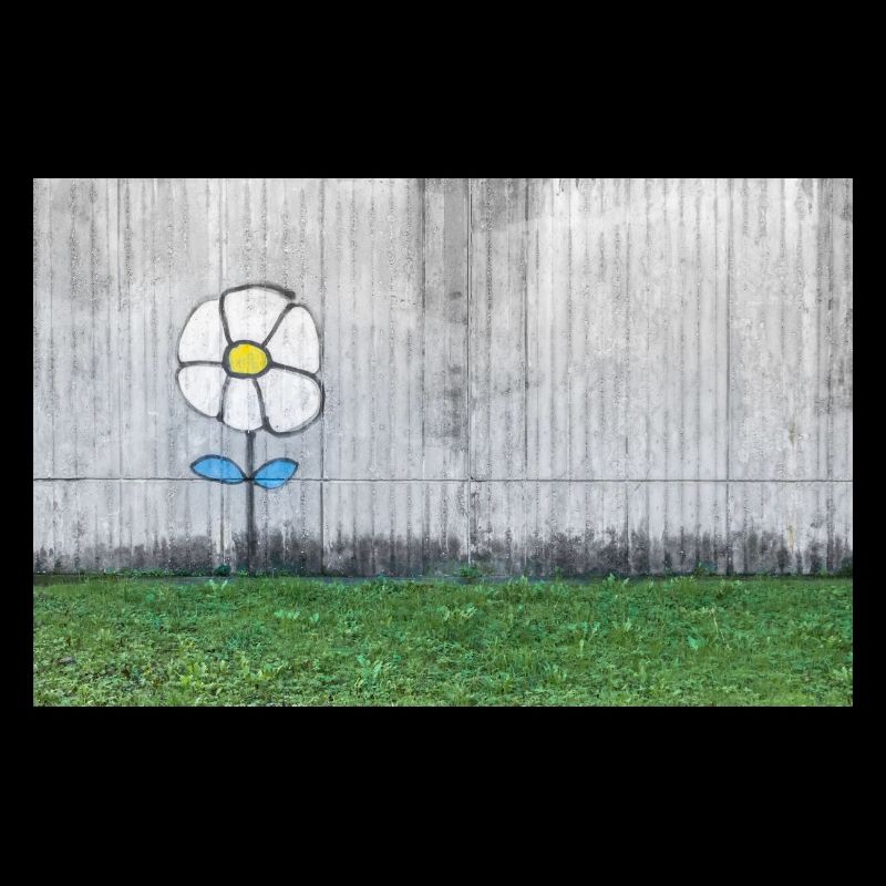 Graffiti eines Gänseblümchens