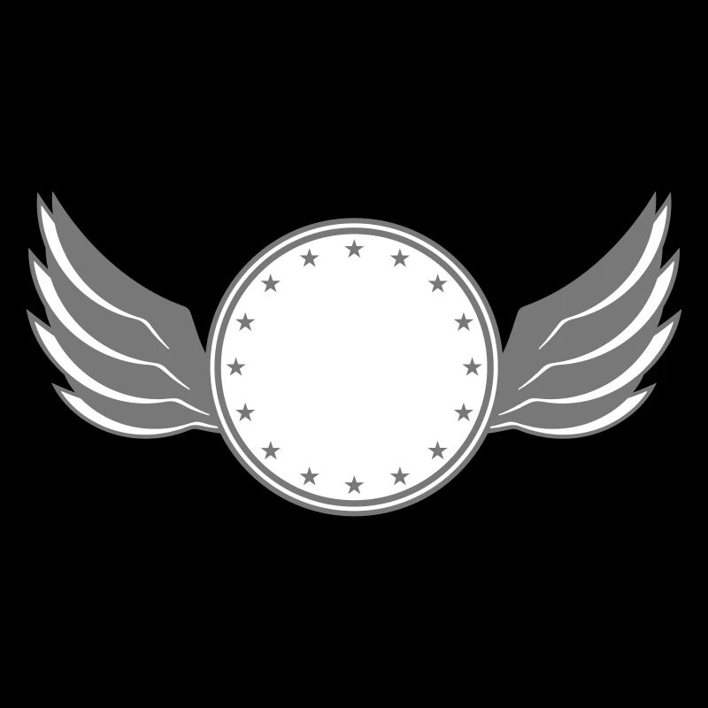 star circle frame round wing ring shield shield