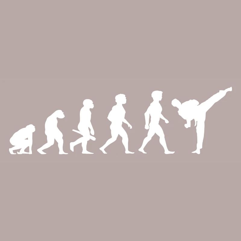 Evolution Karate Kampfsport