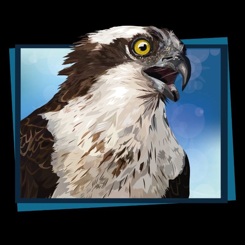Balbuzard