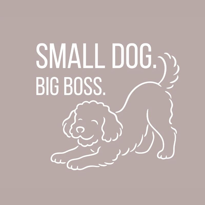 Zwergpudel, Malti-poo oder Königspudel 