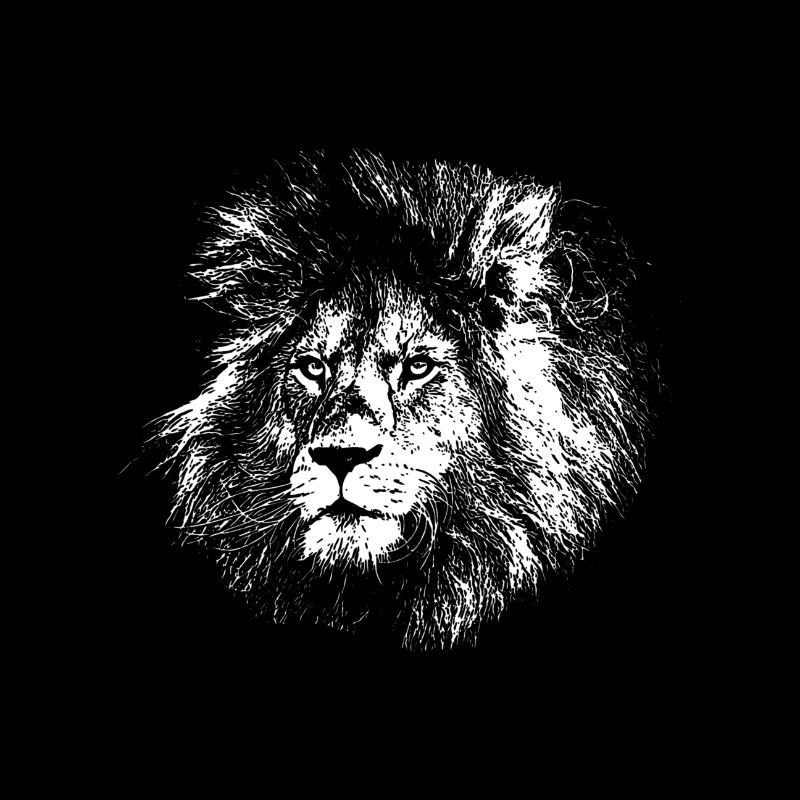 Dessin de lion