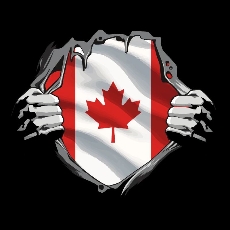 Canada Flag Maple Leaf Canadian Flag Canada