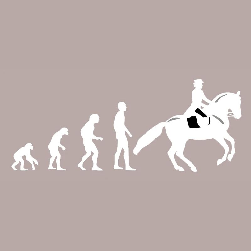 Evolution équitation - cheval - cavalier - cavalier