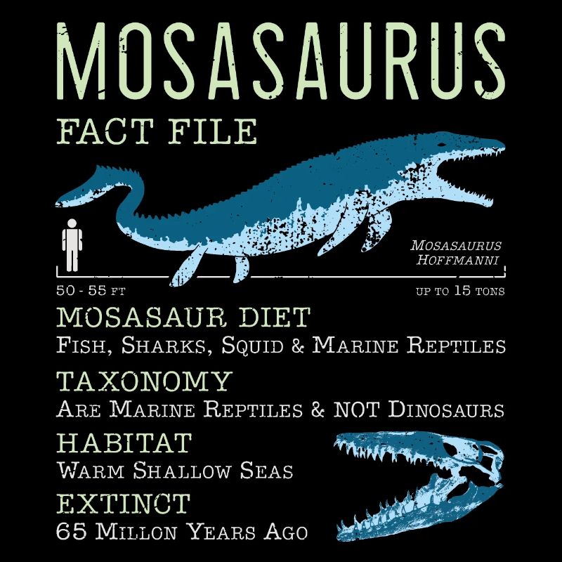 Faits sur le mosasaure